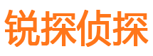 高邑外遇调查取证